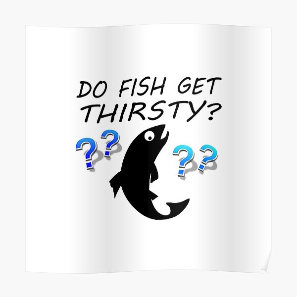 "Do Fish Get Thirsty?" Poster for Sale by Lainey1978 Redbubble