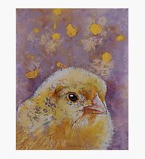 Chick Photographic Print