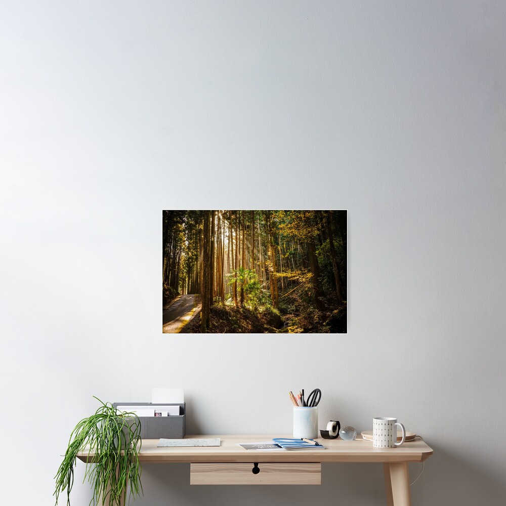 Item preview, Poster designed and sold by adamayokuy.