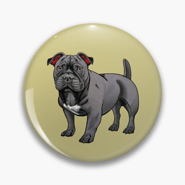 Pin on American Bully Studs