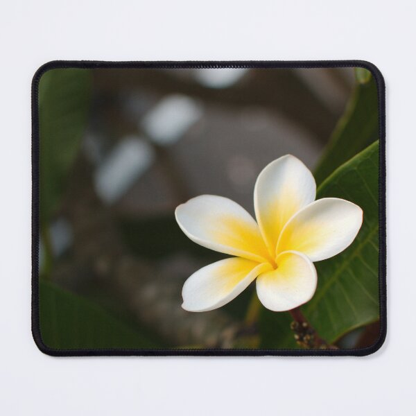 Item preview, Frangipani designed and sold by notjustamwac.