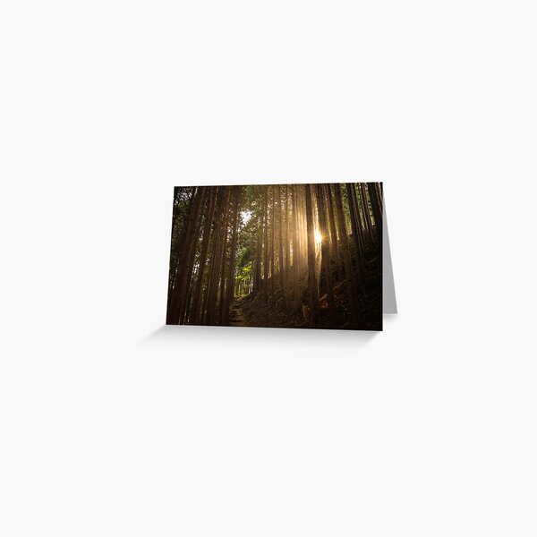 Okumusashi 04 Greeting Card