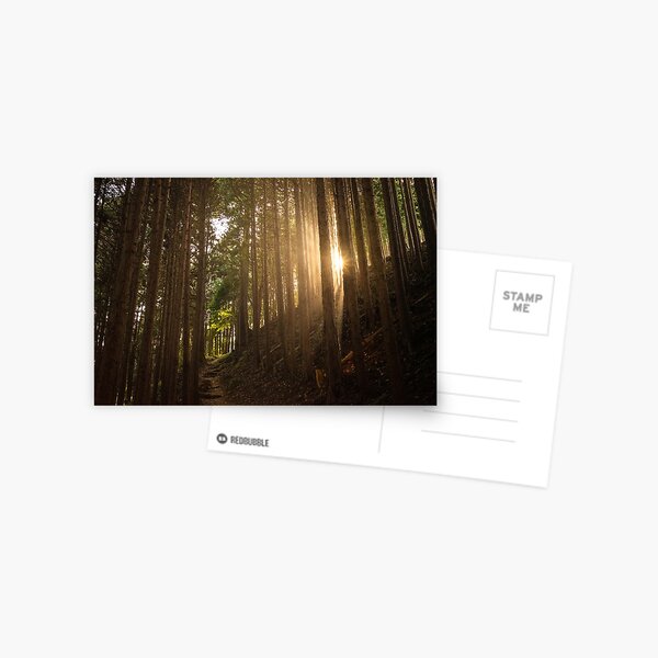 Okumusashi 04 Postcard