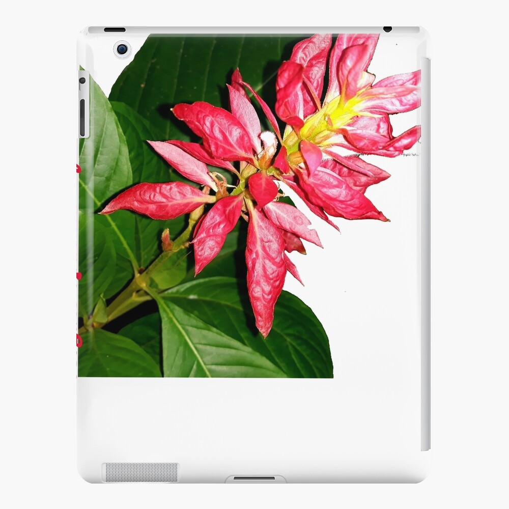 Flor iPad Case & Skin for Sale by Reikiama