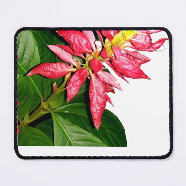 Item preview, Flor designed and sold by @Reikiama.