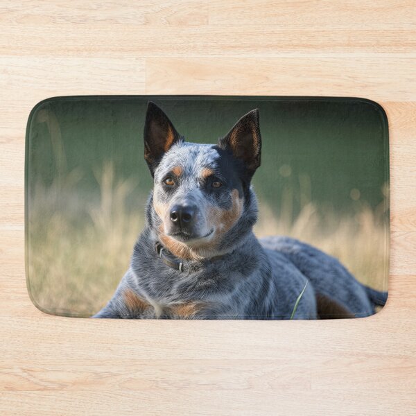Item preview,  Australian Blue Heeler Cattle Dog designed and sold by LividPhoto.