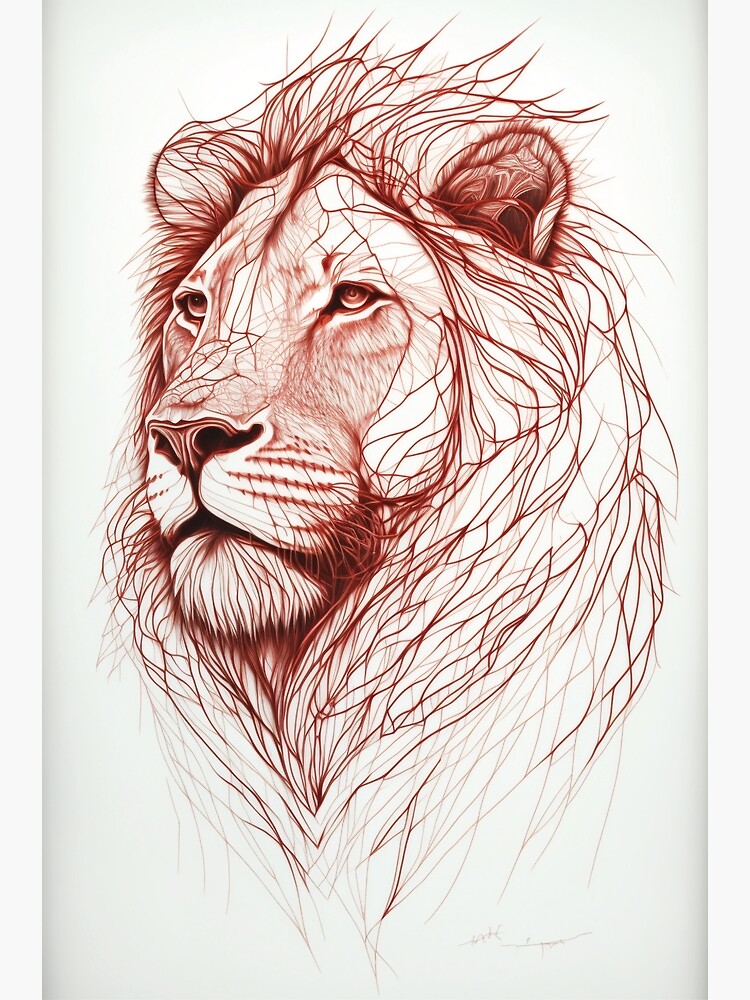 How to Draw a Lion Head - DrawingNow