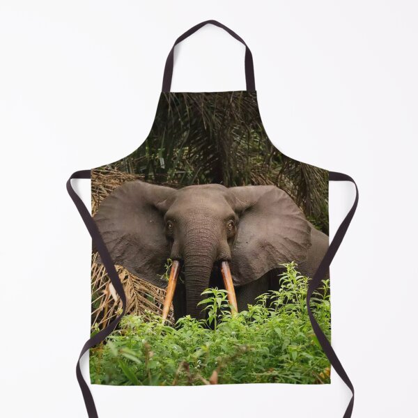 Artikelvorschau, Loango-Nationalpark, Gabun entworfen und verkauft von scenerymerch.