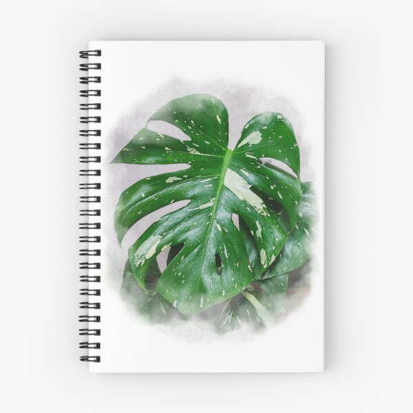 Item preview, Unique and organic watercolour of a Monstera Thai constellation designed and sold by AvonPerception.