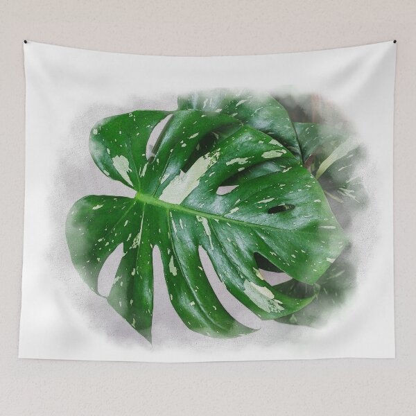 Item preview, Unique and organic watercolour of a Monstera Thai constellation designed and sold by AvonPerception.