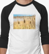 Wetlands in Autumn Men's Baseball ¾ T-Shirt