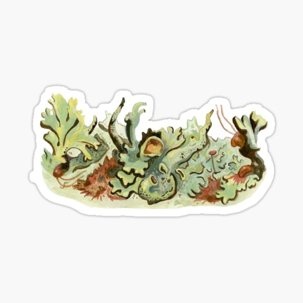 Item preview, Lichen Collage  designed and sold by Siena  McKim.