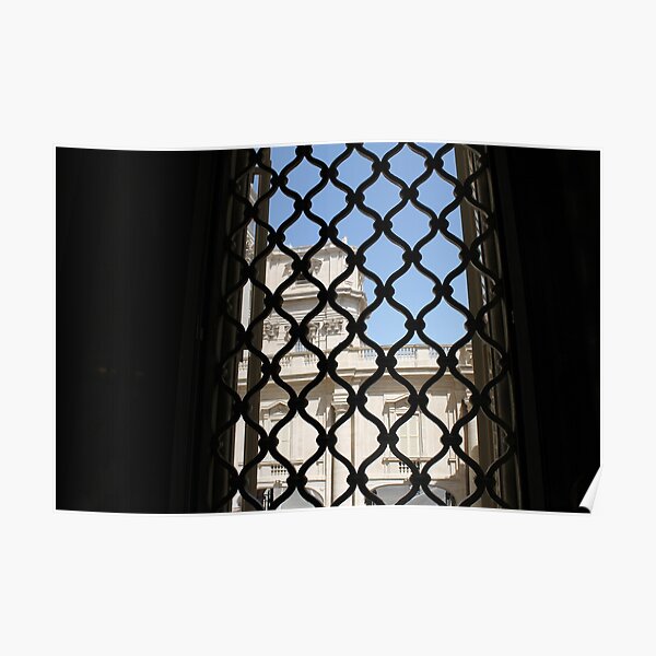 View through a window lattice. Poster