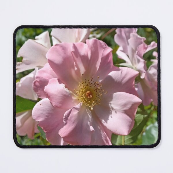 Item preview, Pale Pink Beauty designed and sold by createdbysigi.