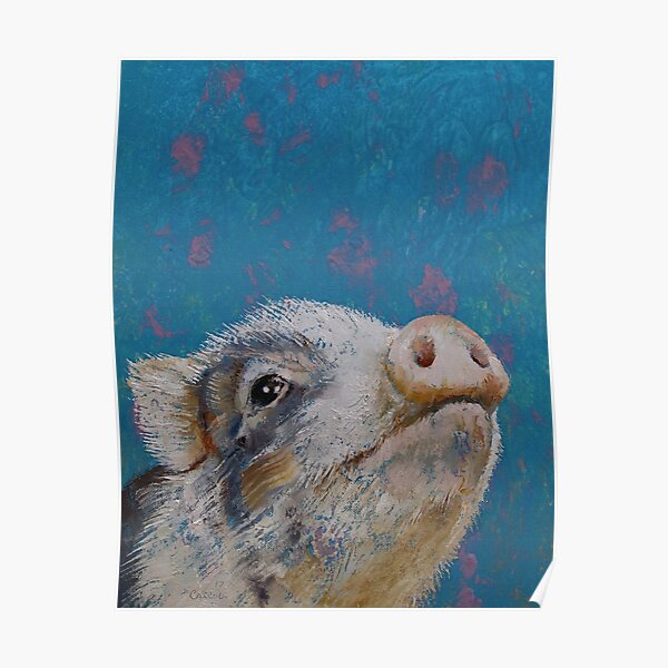Porc Posters Redbubble