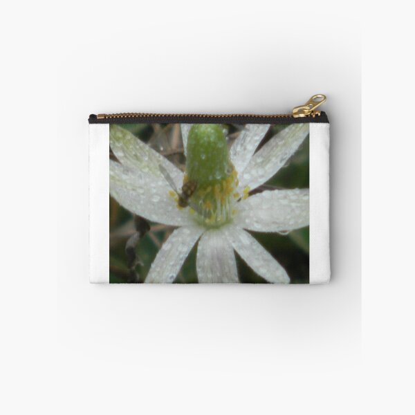 Item preview, Watery Windflower and Caretakers.... designed and sold by Navigator.