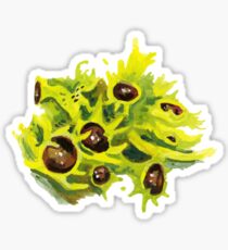 Black Eyed Wolf Lichen Sticker
