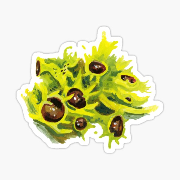 Item preview, Black Eyed Wolf Lichen designed and sold by Siena  McKim.