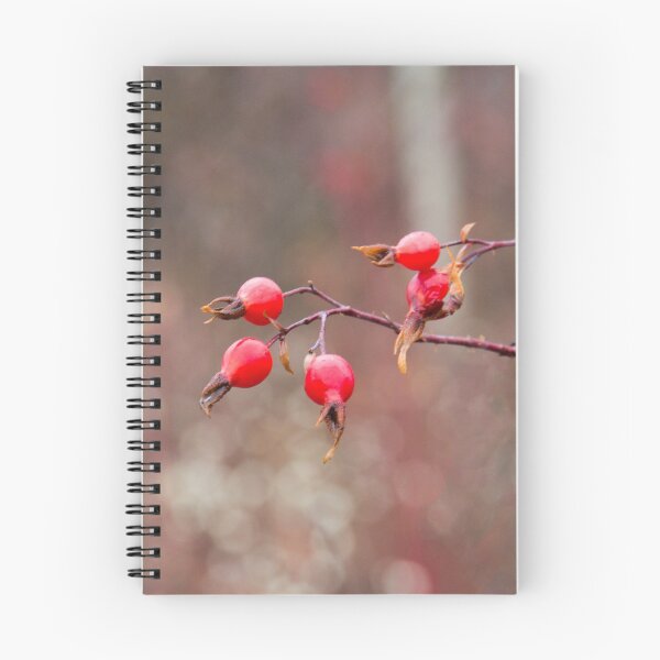 Item preview, Rose Hips in Autumn designed and sold by Ollivrosa.