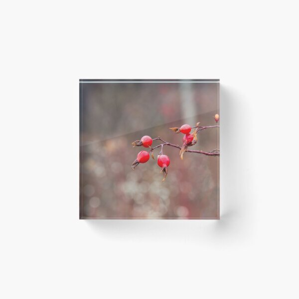 Item preview, Rose Hips in Autumn designed and sold by Ollivrosa.