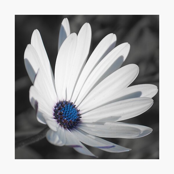 Item preview, Shining blue designed and sold by jhawa.