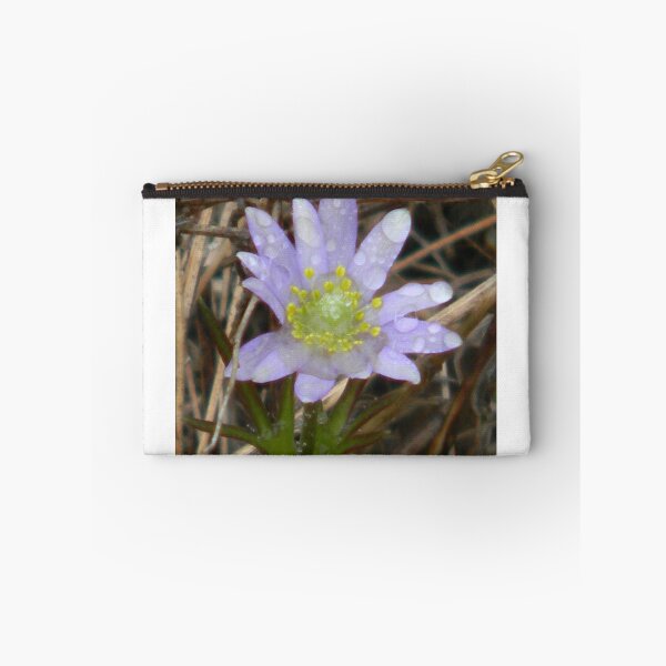 Item preview, Magical Purple Windflower - View Larger designed and sold by Navigator.