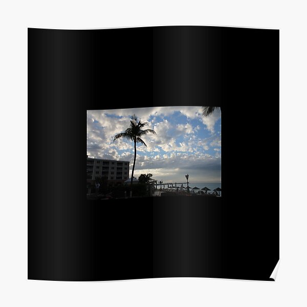 Palm tree, sky, water, clouds. Poster