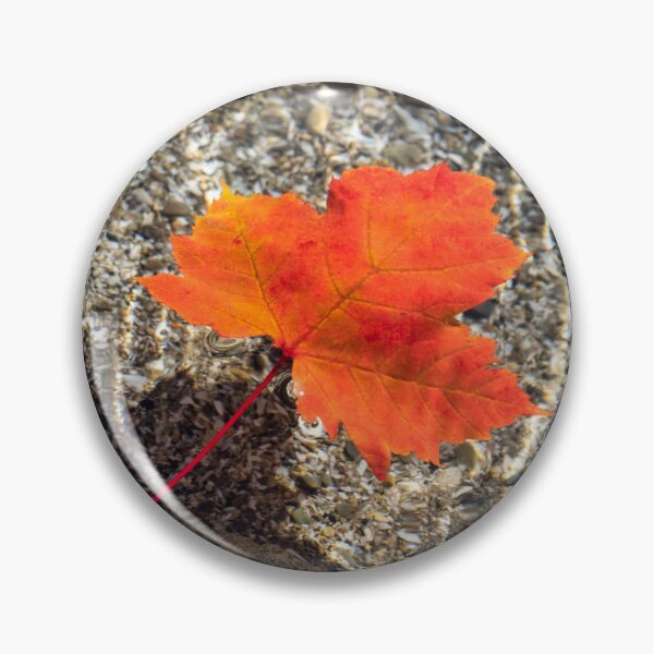 Item preview, Oh Canada Maple Leaf Gently Floating designed and sold by Georgia Mizuleva.