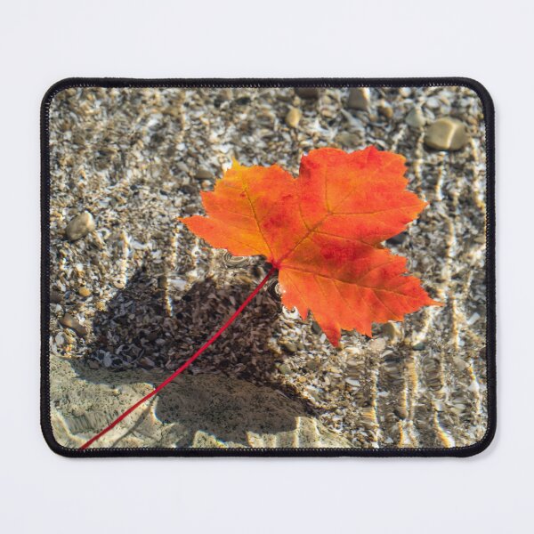 Item preview, Oh Canada Maple Leaf Gently Floating designed and sold by Georgia Mizuleva.