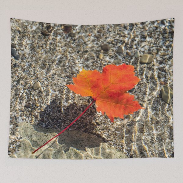 Item preview, Oh Canada Maple Leaf Gently Floating designed and sold by Georgia Mizuleva.