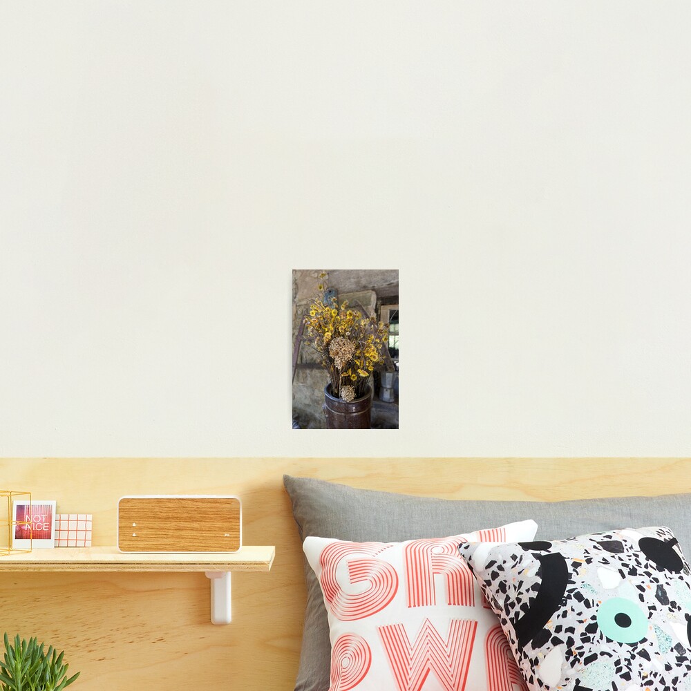 Item preview, Photographic Print designed and sold by silvtom.