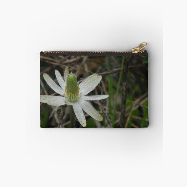 Item preview, Lenten Windflower - View Larger designed and sold by Navigator.
