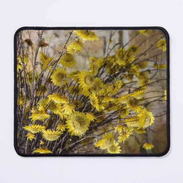 Item preview, Rustic Still Life designed and sold by Dreamscape Eclectic .