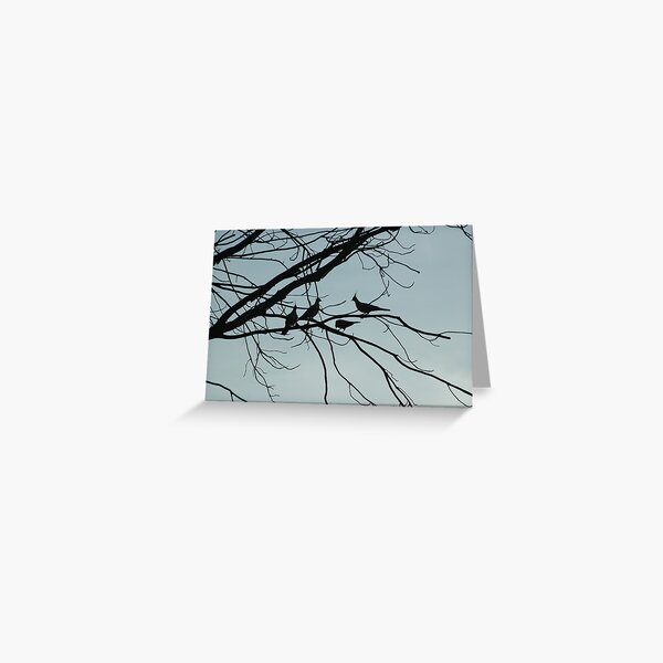 silhouetted crested pigeons Greeting Card