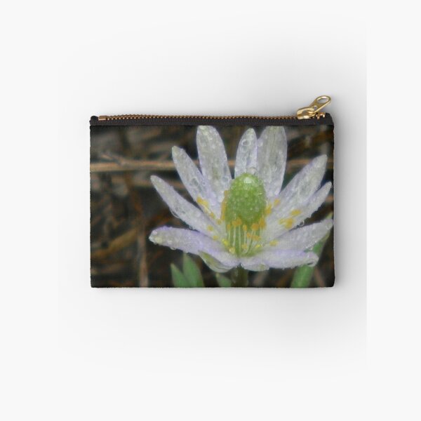 Item preview, Drenched Windflower designed and sold by Navigator.