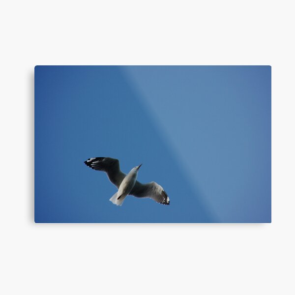 FREE Metal Print