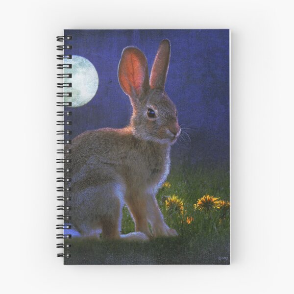 Item preview, baby cottontail by moonlight designed and sold by R Christopher  Vest.