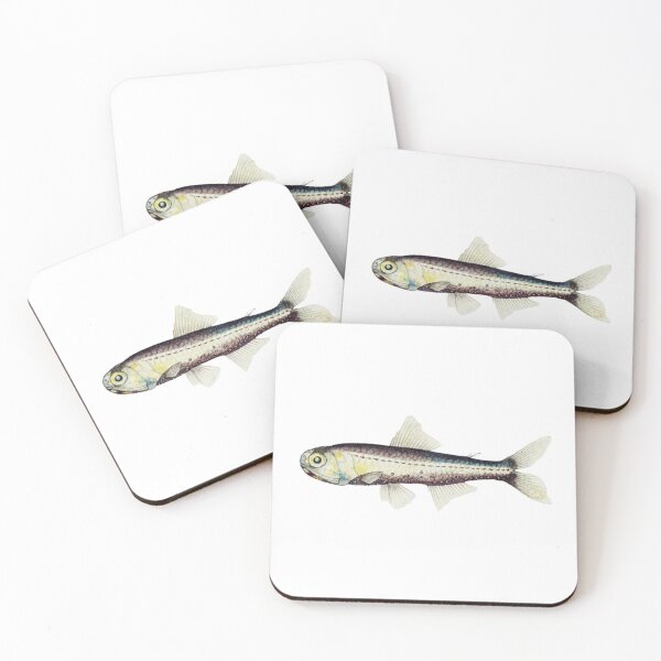 Item preview, Antique Fish Maurolicus Muelleri Vintage Fish designed and sold by AmethystMurad.