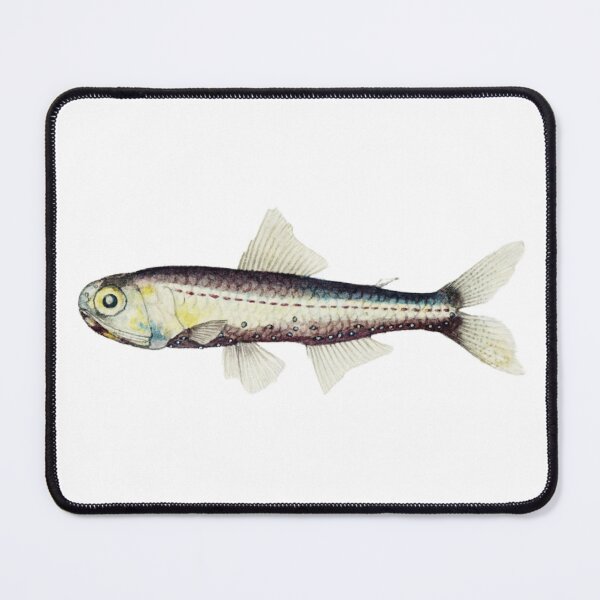 Item preview, Antique Fish Maurolicus Muelleri Vintage Fish designed and sold by AmethystMurad.