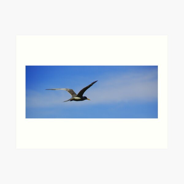 FREE Art Print