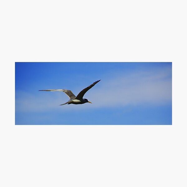 FREE Photographic Print