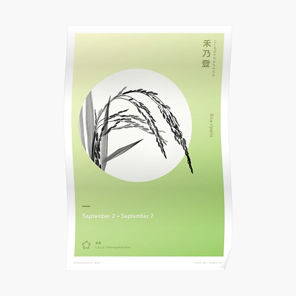 Rice Ripens Poster