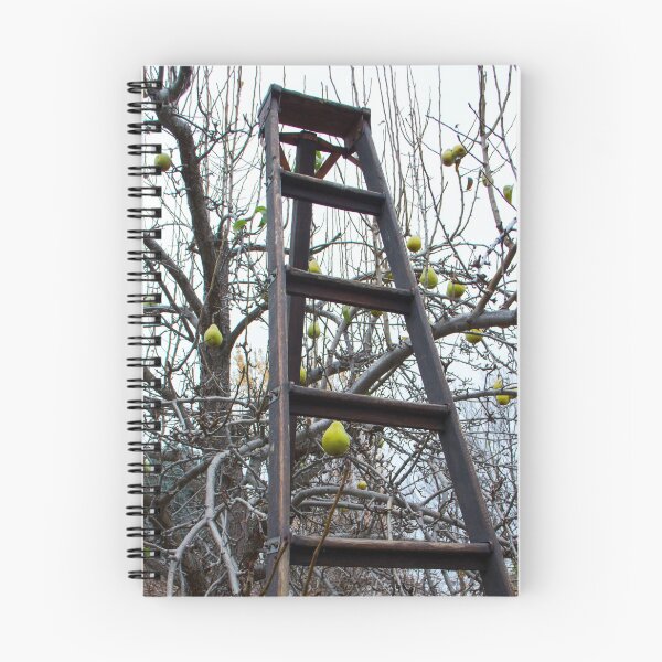Item preview, Ladder and a Pear Tree designed and sold by Ollivrosa.