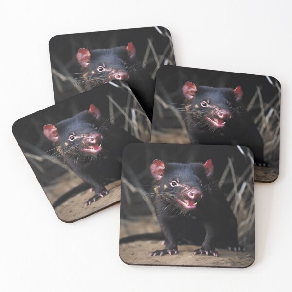 Item preview, Native Tasmanian Devil Photo designed and sold by LividPhoto.