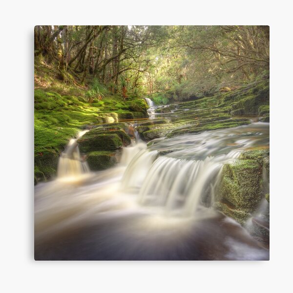 Highland cascades, Tasmania Metal Print