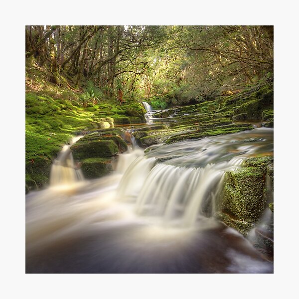 Item preview, Highland cascades, Tasmania designed and sold by Kevin McGennan.