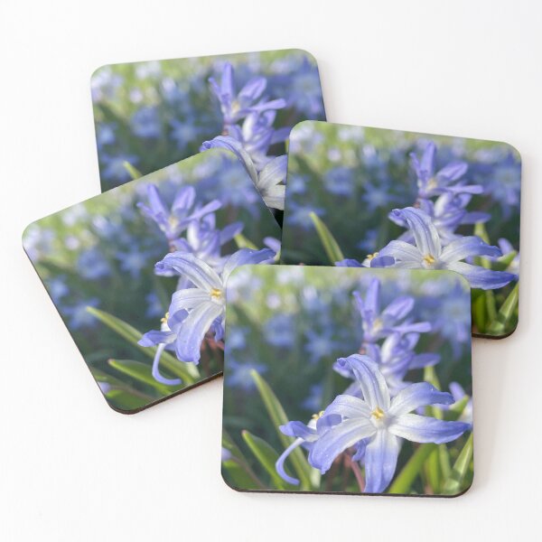 Item preview, Early Spring Flowers designed and sold by Pisces-Pics.