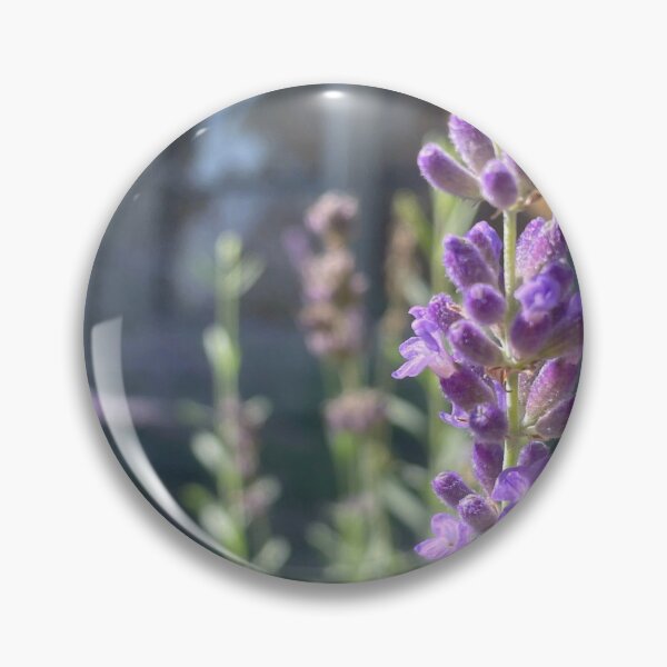 Item preview, Lavender at the Library designed and sold by Pisces-Pics.