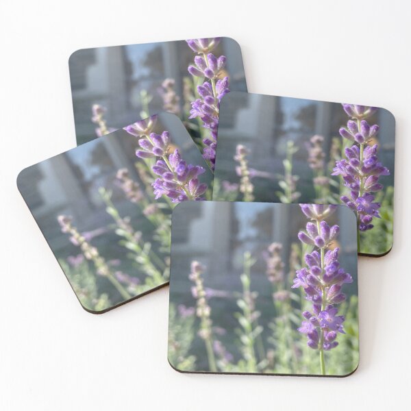 Item preview, Lavender at the Library designed and sold by Pisces-Pics.