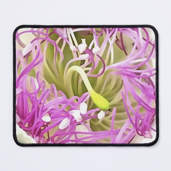 Item preview, Caper Flower Blossom Botanical Art designed and sold by taiche.